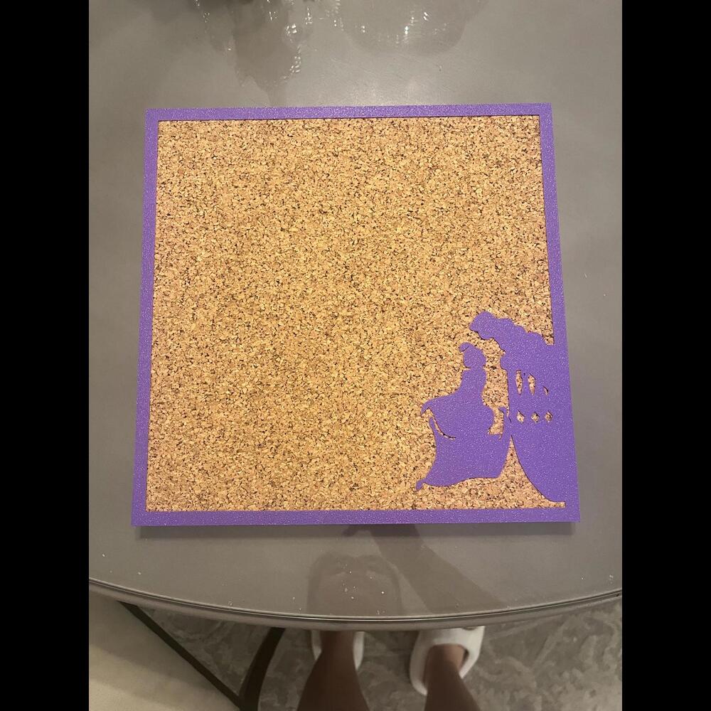 Custom Made Aladdin & Jasmine Pin Board